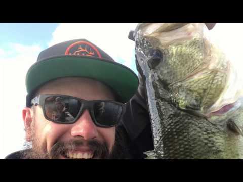 Caught a fish without a rod