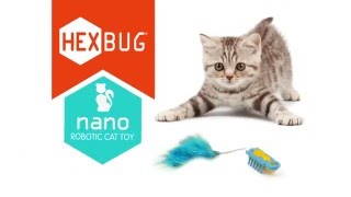 HEXBUG nano Cat Toy - Cute Kitty Vs. Speedy nano