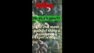 Girl Facts || Most painful thing|| Respect women||