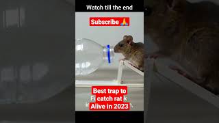 best trap to catch rat alive in 2023 #shorts #rat #trap  #rattrap #viral #2023 #poisonous #mouse