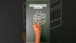 how to draw skin diagram easily #skin #humanskin #diagram #shorts #ytshorts #drawingwithsahil