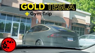 GOLD TESLA VLOG + Gym Trip