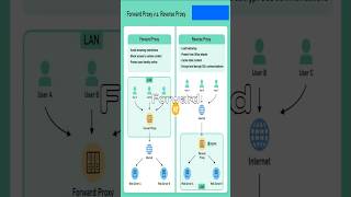 Forward Proxy v.s. Reverse Proxy