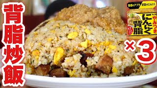 【大食い】人気沸騰中のやみつきニンニク背脂炒飯が爆発的に美味かった！！！