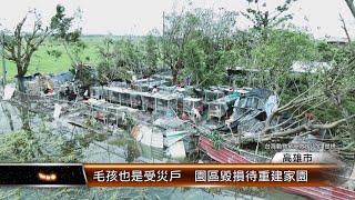 毛孩也是受災戶 園區毀損待重建家園│T-NEWS聯播網