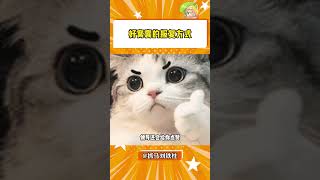 好窝囊的报复方式#窝囊 #万万没想到 #搞笑 #内容启发搜索#shorts