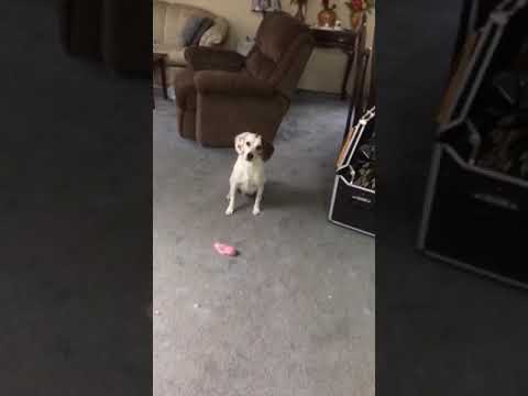 Let’s go for a walk!