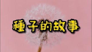 寓言故事《種子的故事》｜教你如何探索人生成功的秘密 | 4K