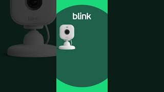 Rating the features of our Blink Mini 2