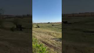 Ukrainian Army Helicopter's Stunning Low-Altitude Flight
