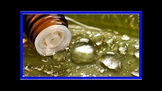 茶樹精油的11種妙用，你不一定都了解~