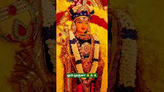 ஓம் முருகா 🙏🙏🙏#ommuruganthunai #ஓம்முருகாபோற்றி #devotional #முருகன்துணை #motivational #முருகாசரணம்