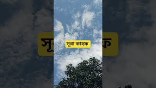 সূরা কাহফ#viralvideo #quranrecitation #qurantilawat #কোরআন_তিলাওয়াত #nature #viralvideo #المصحف