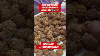 SUPER QUALITYNEPALI RUDRAKSHA CHAYHITO ORDERS NOW ☎️+9779847704261🚛✈️#rudraksha #youtubeshorts #1k