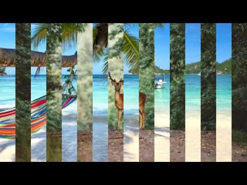 Eritrean music Tesfay mengsha