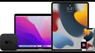 IMPORTANT iPad iPhone Zero Day vulnerability fix released by Apple