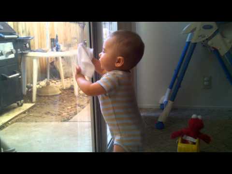 Baby window washer