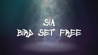 Sia - Bird Set Free (Lyrics)