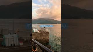 敦賀の釣り場所が🎣⋯⋯@.@