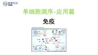 单细胞测序-应用-免疫系统研究（Single cell sequencing application immune system research）