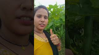 Dekh Lo Varna pachtaoge#1kcreator #fouryourpag #farmingmethod #fouryou # Kisan