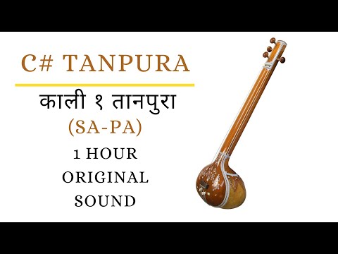 C# Scale Sa-Pa Tanpura for Riyaz |काली 1 तानपुरा| Vocal Practice Indian Classical | Meditation Music