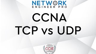 Comparing TCP vs UDP - CCNA 200-301