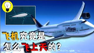 飛機起飛的速度有多快？為何百噸重的飛機，可以輕鬆飛上天？【科普多面體】