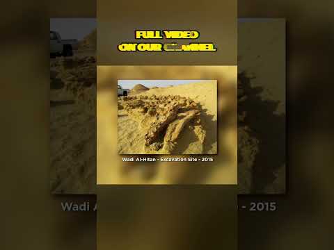 Groundbreaking Discovery In EGYPT