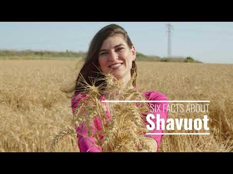 Let's Talk About Shavuot