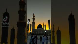 subhanala mashallah#youtubeshort #shortvideo #shortfeed #umarhameed #viral