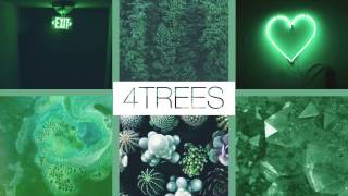 FIRST VIDEO -  4trees