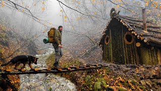 Building a Log Cabin in the MISTY Forest And Spent 24 Hours!