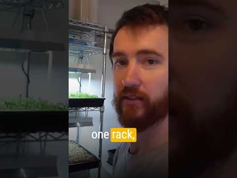🌱 Want to make $800 in just one week with only one rack of microgreens? 💰✨ Discover the proven