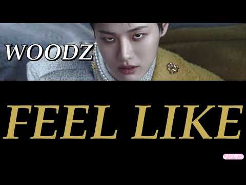 【 カナルビ / 日本語字幕 / 歌詞 】FEEL LIKE - WOODZ (조승연 / チョ･スンヨン)