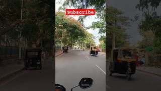 Flowers on road Bangalore #foryou #love #viral