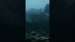 Unlocking the Mystery of Dark Oxygen. #deepsea #ocean #oxygen #facts #deepocean #darkocean