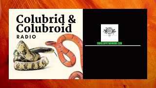 Colubrid talk with Jessica Hare