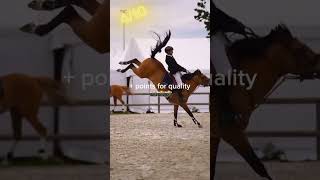 These riders are so good #horse #equestrain #horsefail #horseriding #horselover #sport #funny #fypシ゚