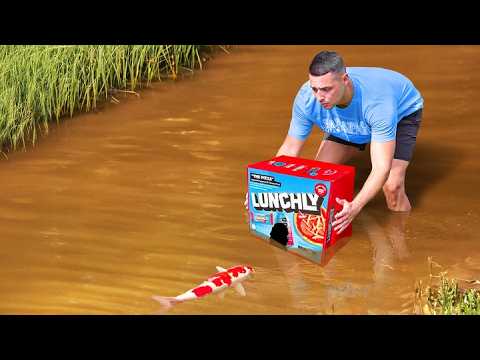 LUNCHLY FISH TRAP Catches Colorful Fish