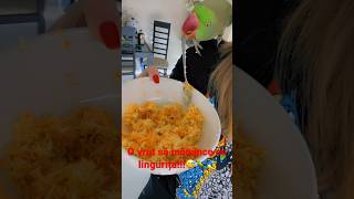#parrot #papagal #pipo #marele Alexandru # #talkingparrot #funny #papagal vorbitor