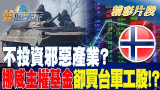 不投資邪惡產業？ 挪威主權基金卻買台軍工股！？| 金臨天下20230403