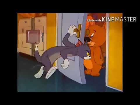 elephant hits tom