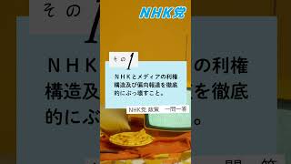 NHK党の政策 一問一答その１ NHK党が最も力を入れている政策は何ですか？