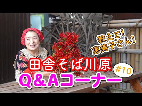 【質問コーナー#10】マコモダケの正しい保存方法をプロが解説！
