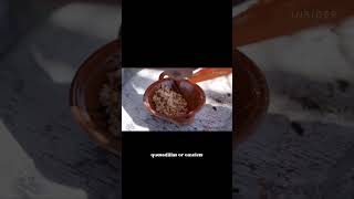 Escamoles is a dish made from ant larvae and pupae, commonly eaten in Mexico. #Shorts