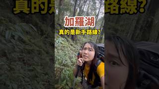 你覺得加羅湖是新手路線嗎？🤣 #加羅湖 #登山