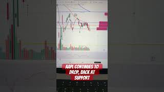 AAPL Drops Again 📉—AI Neglect Finally Catching Up?