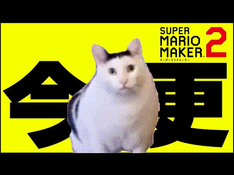 " 色 々 と 遅 い 動 画 "【マリオメーカー2】
