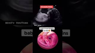 Baby's heart begins to start at 6 weeks😍, now 23 old fetus|#pregnancy #baby